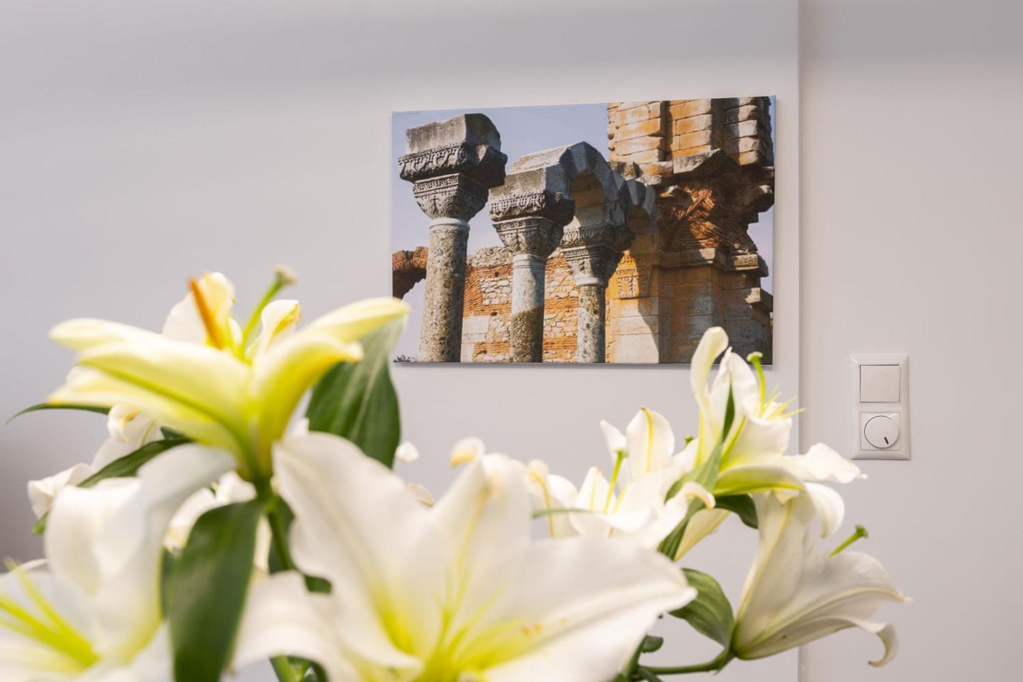 Arc Maisonette *
